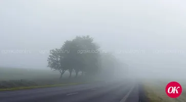 В середине недели в Краснодарском крае ожидается туман и до +17°С