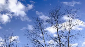 https://ognikubani.ru/wp-content/uploads/2021/03/hello_html_m71e0b460