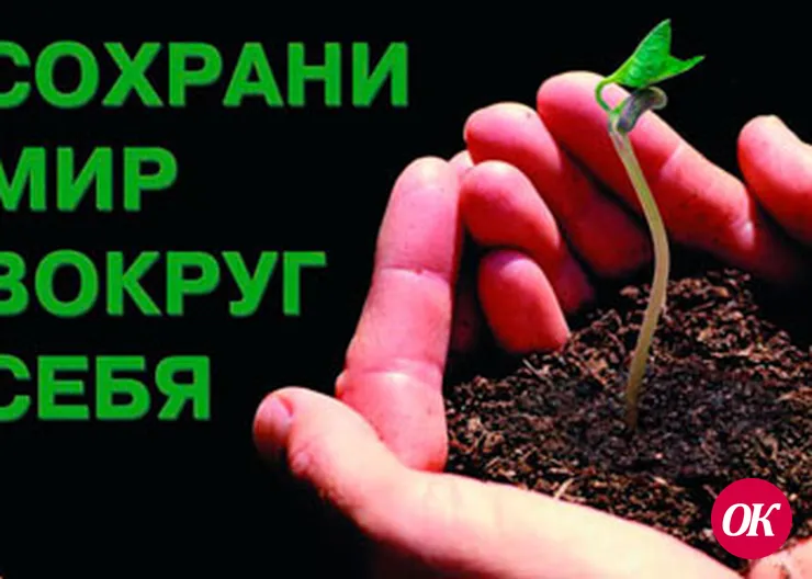 Мир вокруг нас ждет уборки