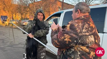 В Кропоткине идет отлов бродячих собак