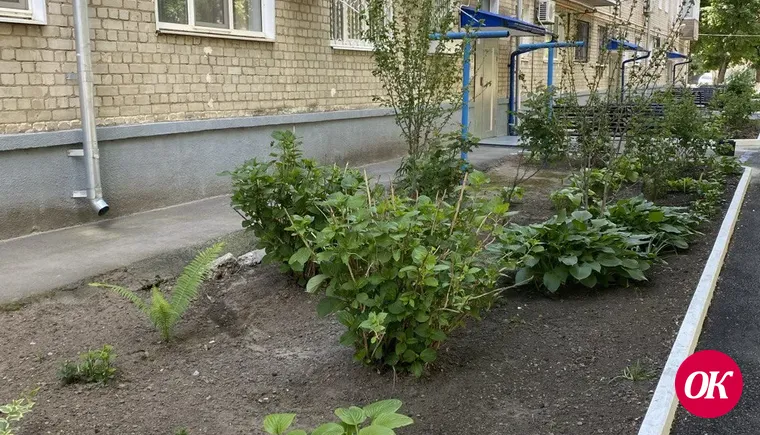 Границы шести из сорока городских органов ТОС расширили