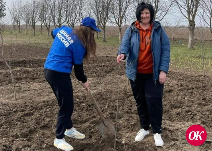 Жители Кавказской продолжают озеленять свою станицу
