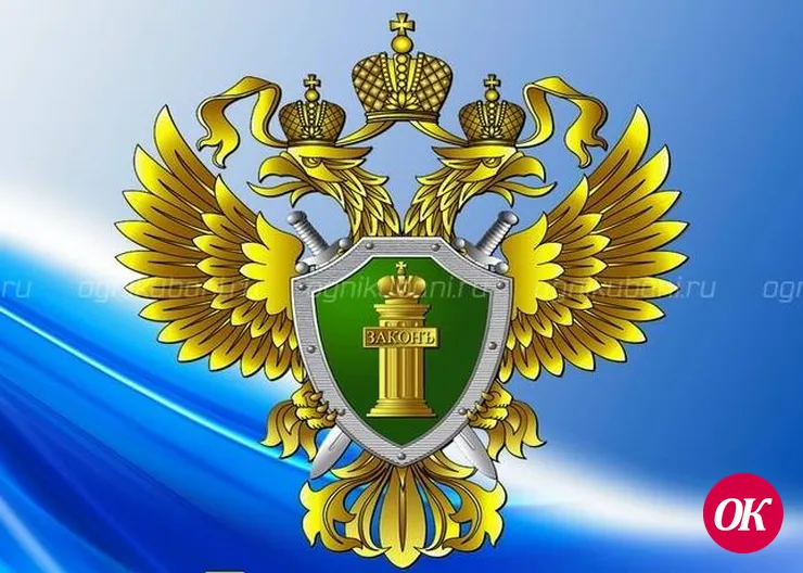 На транспорте все по закону