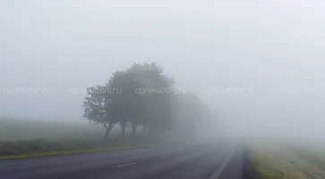 https://ognikubani.ru/wp-content/uploads/2020/02/tuman