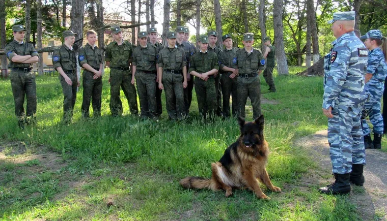 https://ognikubani.ru/wp-content/uploads/2021/05/ognikubani.ru-24