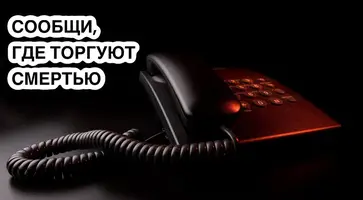 https://ognikubani.ru/wp-content/uploads/2023/10/photo_5292162271981720138_y