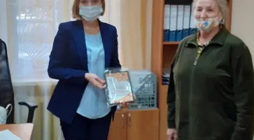 https://ognikubani.ru/wp-content/uploads/2020/10/сайт