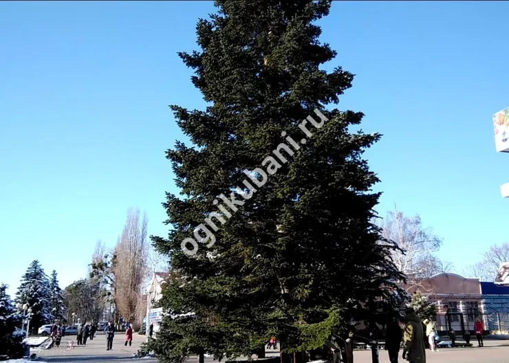 https://ognikubani.ru/wp-content/uploads/2019/12/WhatsApp-Image-2019-12-06-at-14.25.50-2