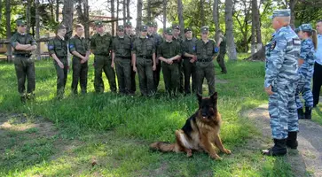 https://ognikubani.ru/wp-content/uploads/2021/05/ognikubani.ru-24