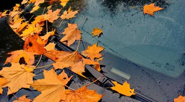https://ognikubani.ru/wp-content/uploads/2020/09/6eec76af6164fa7223ce0ad4a89f96dd