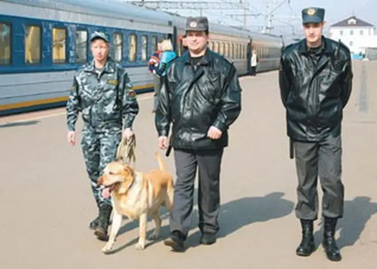 http://www.ognikuban.tw1.ru/wp-content/uploads/2017/04/transportnaya-policiya