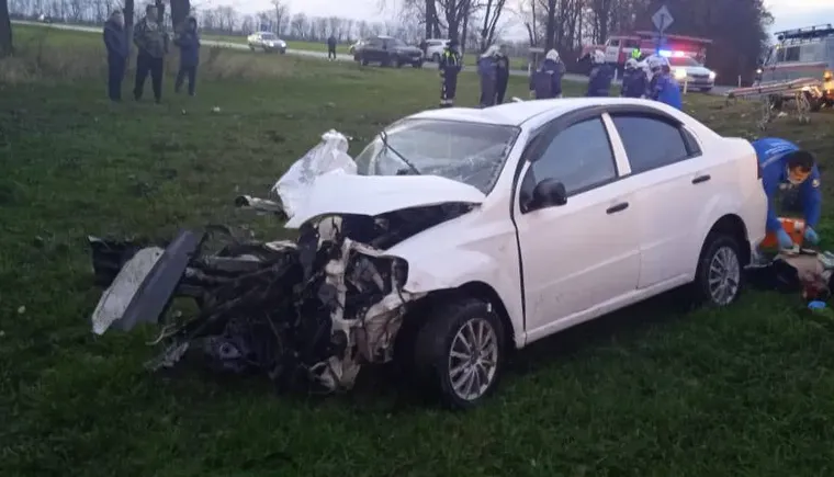 photo_5426877941310149064_y