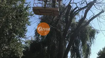 https://ognikubani.ru/wp-content/uploads/2019/09/IMG_20190913_105906_308