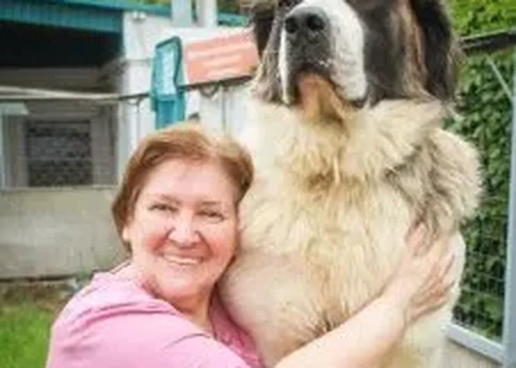 ea3022f0-ce44-453d-975f-b5c0cd8b0630 1