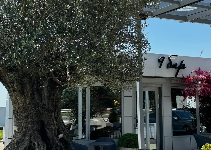 WhatsApp Image 2025-07-08 at 11.51.11