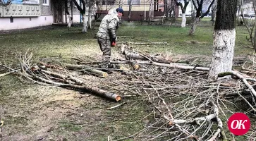 В Кропоткине продолжаются работы по санитарной обрезке деревьев