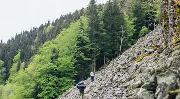 https://ognikubani.ru/wp-content/uploads/2023/06/pokhody-53569260b4