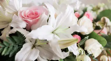 https://ognikubani.ru/wp-content/uploads/2021/10/ognikubani.ru-6
