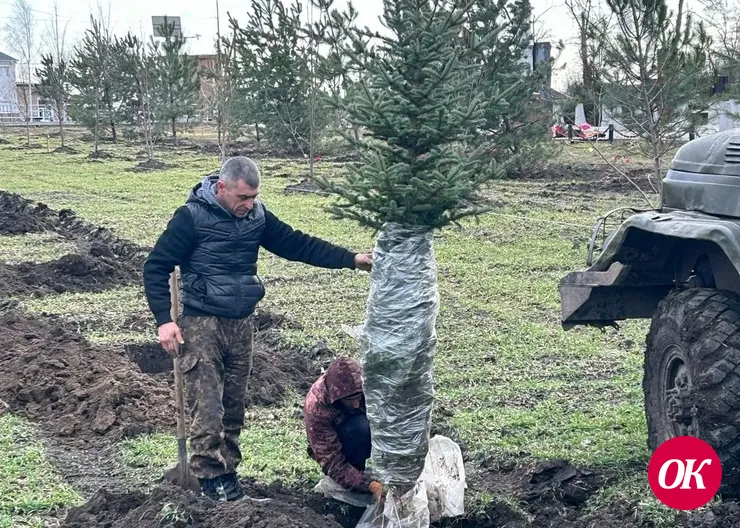 Михаил Васильев из станицы Темижбекской разбил парк у мемориального комплекса и планирует установить памятный знак бойцам СВО