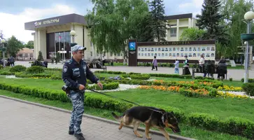 https://ognikubani.ru/wp-content/uploads/2023/06/IMG_0212