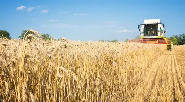 https://ognikubani.ru/wp-content/uploads/2022/12/combine-harvester-working-wheat-field-1_1