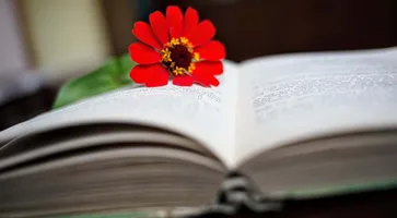 https://ognikubani.ru/wp-content/uploads/2022/10/6ab47c9d9a8fe3839eb215fec95726873d02ea2d.jpg_1