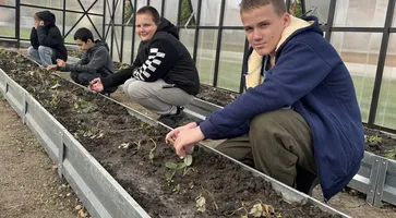 photo_5202125953432680602_y