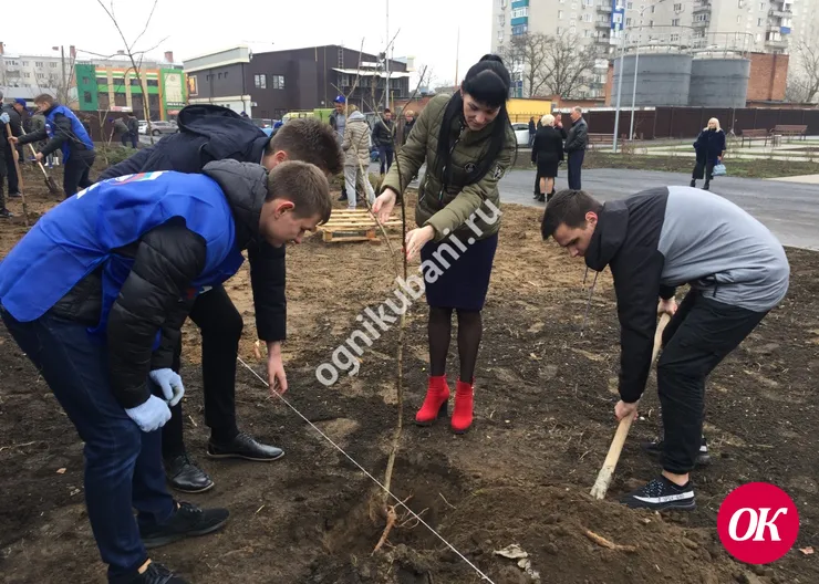 А ты посадил свое дерево?