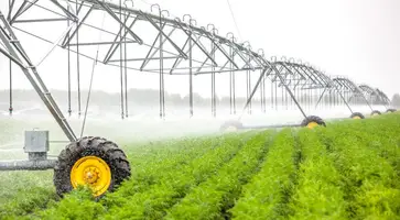 https://ognikubani.ru/wp-content/uploads/2020/05/agriculture_irrigation__300818_02-1024x684