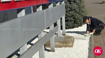 Ландшафтные дизайнеры взялись украсить Кропоткин
