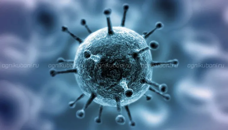 https://ognikubani.ru/wp-content/uploads/2020/03/koronavirus