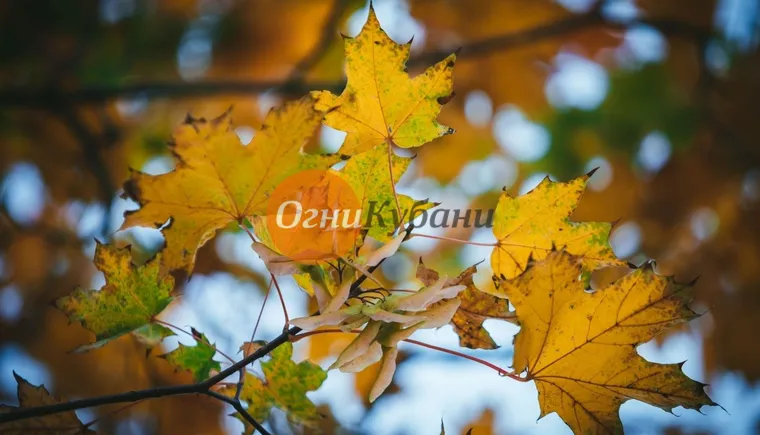 https://ognikubani.ru/wp-content/uploads/2019/10/ruduo-vilniuje-78915451