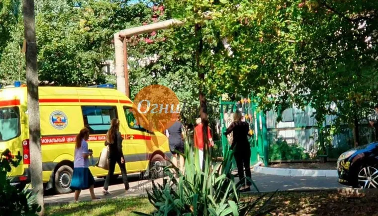 https://ognikubani.ru/wp-content/uploads/2019/09/8010a56c4e9d5d6826bf6fc0aca03722