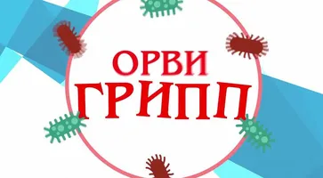 https://ognikubani.ru/wp-content/uploads/2020/09/1568179285_1