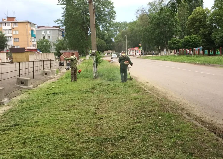 https://ognikubani.ru/wp-content/uploads/2020/06/WhatsApp-Image-2020-06-15-at-14.45.26