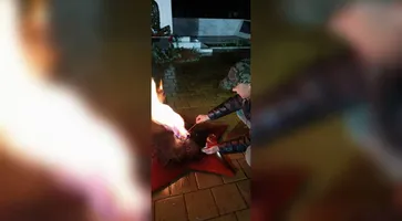 photo_5447114908085907028_y