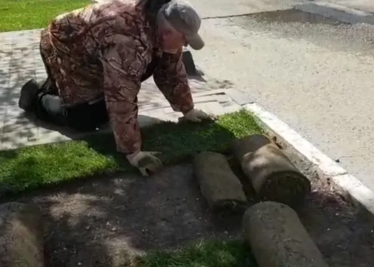 https://ognikubani.ru/wp-content/uploads/2020/04/фотосток-2