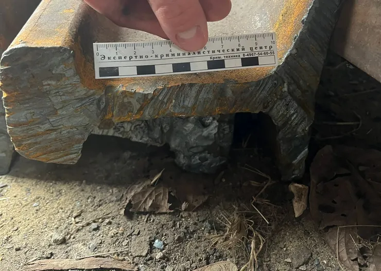 https://ognikubani.ru/wp-content/uploads/2023/04/PHOTO-2023-04-25-10-22-55