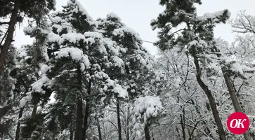 Кропоткин в снежном убранстве