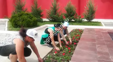 https://ognikubani.ru/wp-content/uploads/2019/12/IMG_20190506_133608