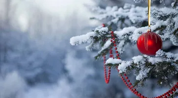 https://ognikubani.ru/wp-content/uploads/2020/12/nastol.com_.ua-263584
