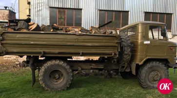 На Кубани перед судом предстанет обвиняемый в незаконной рубке леса