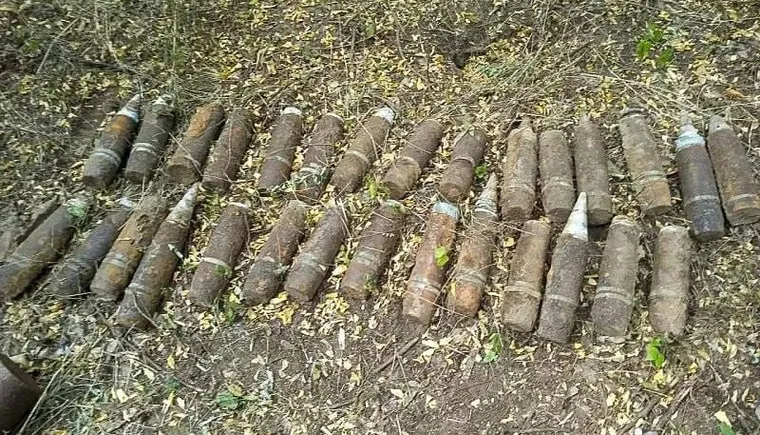 https://ognikubani.ru/wp-content/uploads/2023/08/photo_5393279318391640432_x