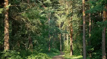 http://www.ognikuban.tw1.ru/wp-content/uploads/2016/04/komarovoforever