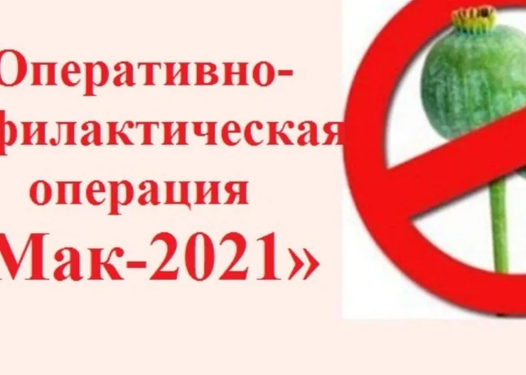 https://ognikubani.ru/wp-content/uploads/2021/10/ognikubani.ru-1-1