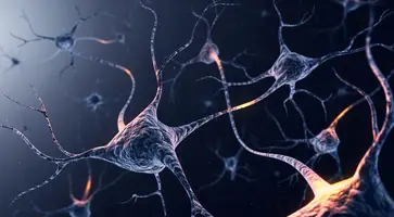 https://ognikubani.ru/wp-content/uploads/2023/06/5ede9e6724000042178ec570