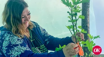 У растениеводов, занимающихся выращиванием рассады, идет сезон пикировки овощных культур