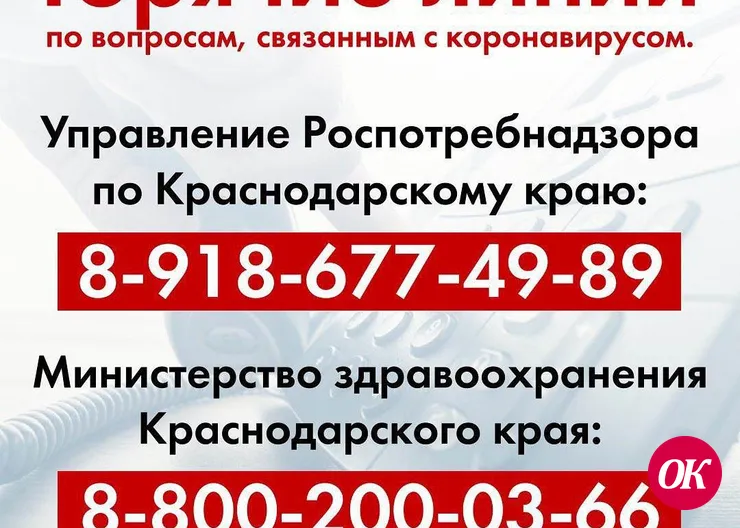 В крае работают горячие линии по вопросам коронавируса