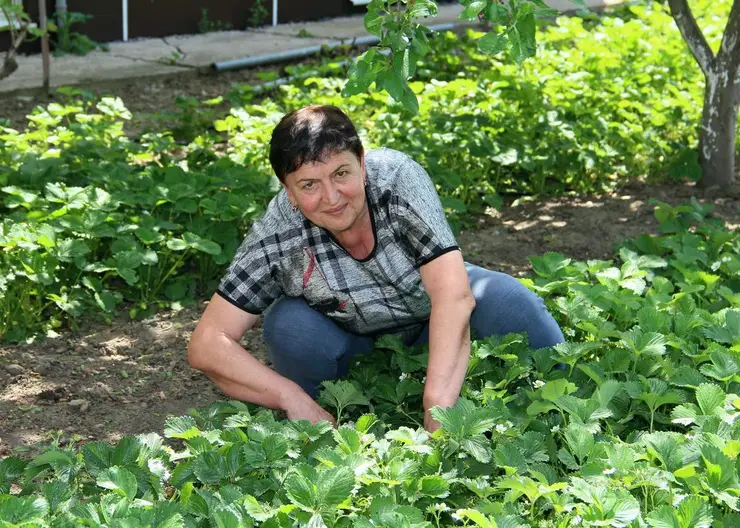 https://ognikubani.ru/wp-content/uploads/2020/06/сайт-3-1