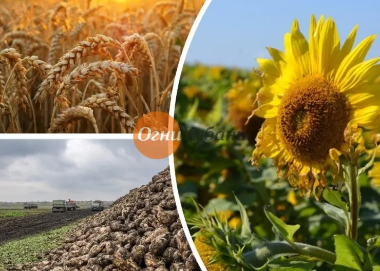 https://ognikubani.ru/wp-content/uploads/2019/09/b6365d5c-9661-4bb6-b9e0-be1105bda61d